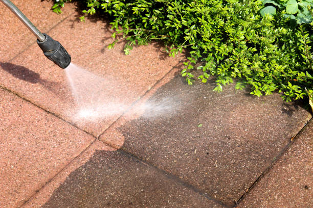 Best Fence Pressure Washing  in Poydras, LA